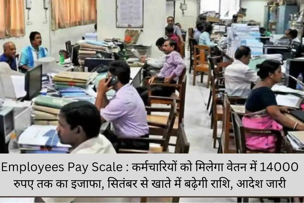 Employees Pay Scale