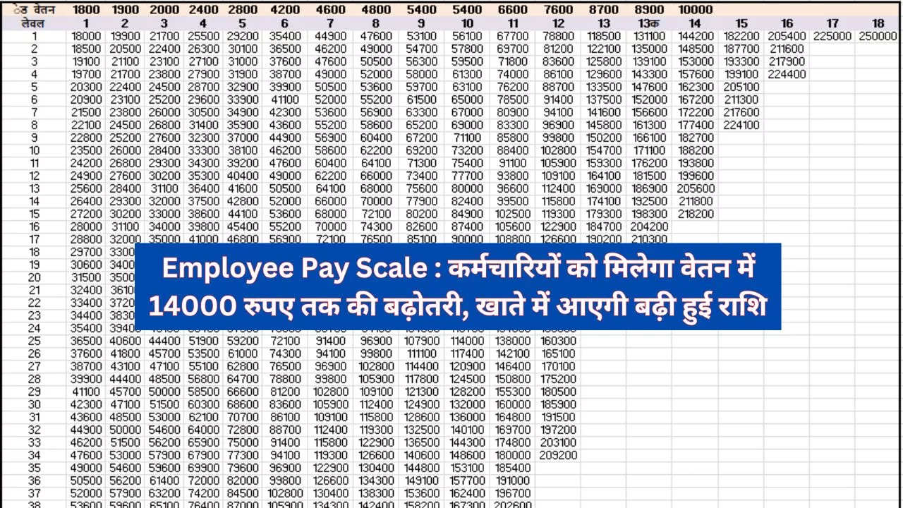 Employee Pay Scale