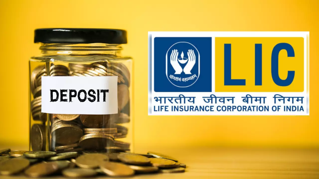 lic policy details