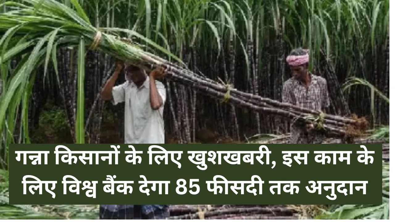 UP Ganna Farmers