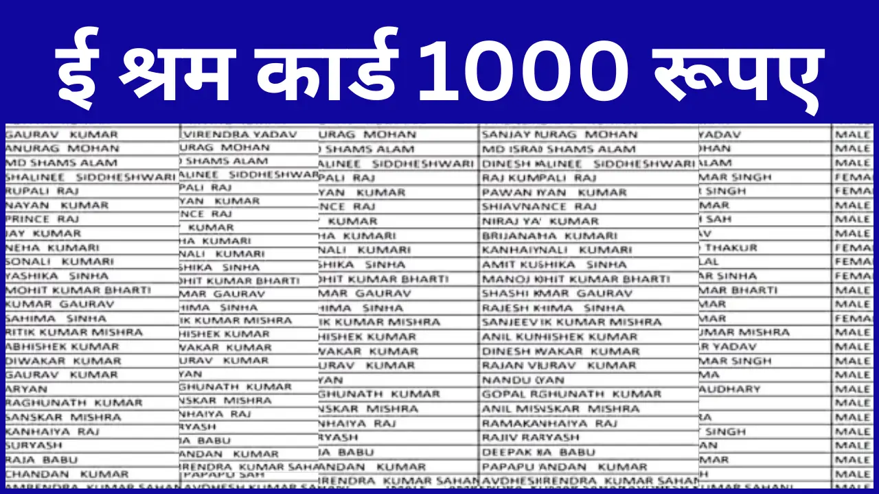 E Shram Card Balance Check